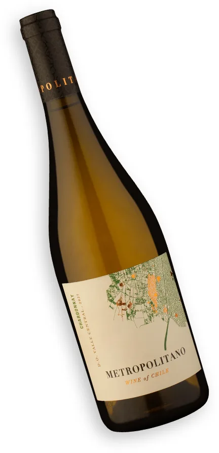 Vinho Branco Metropolitano Chardonnay 750 ml — foto 2